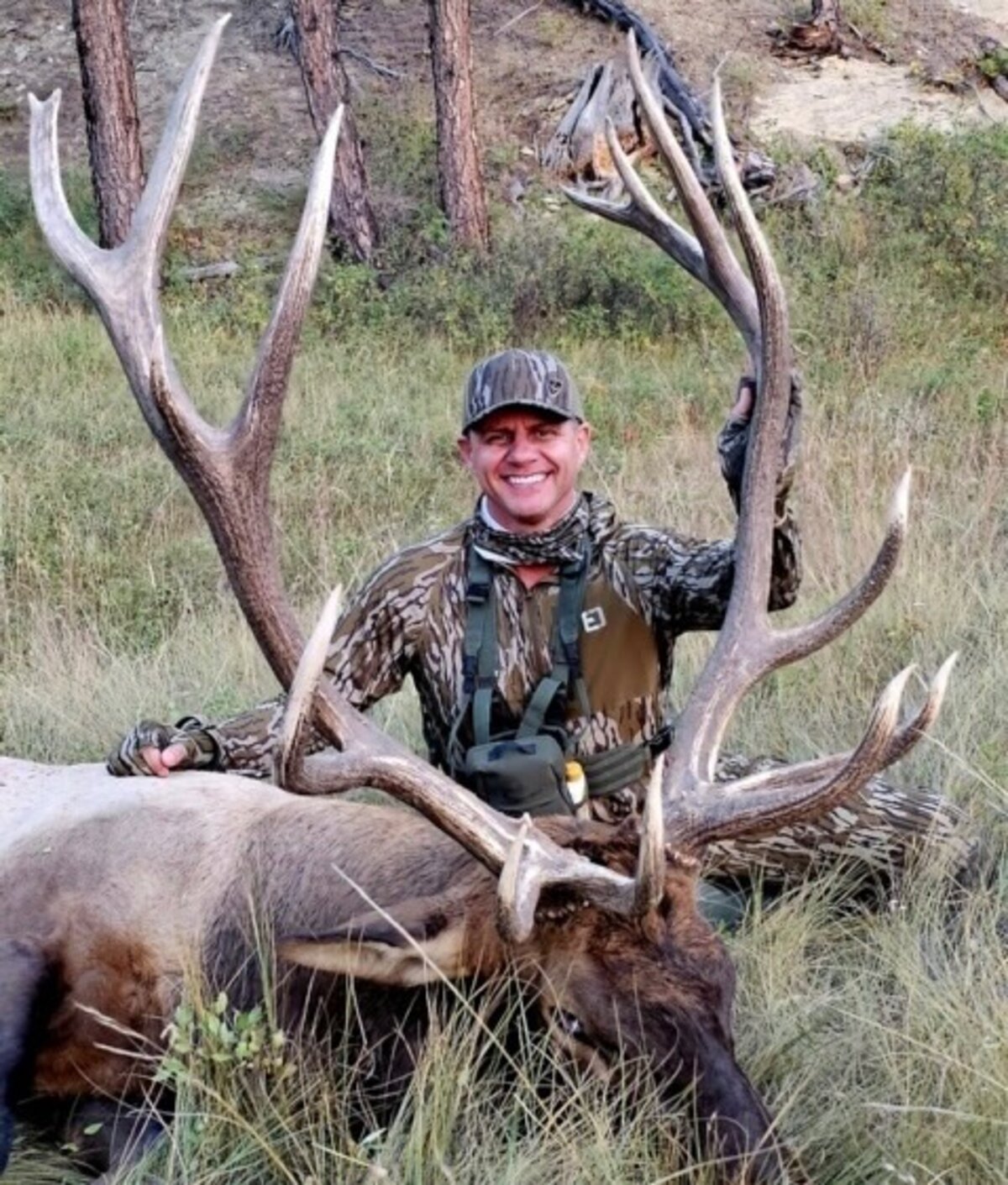 Trophy elk in eastern Montana Bull Mountains
