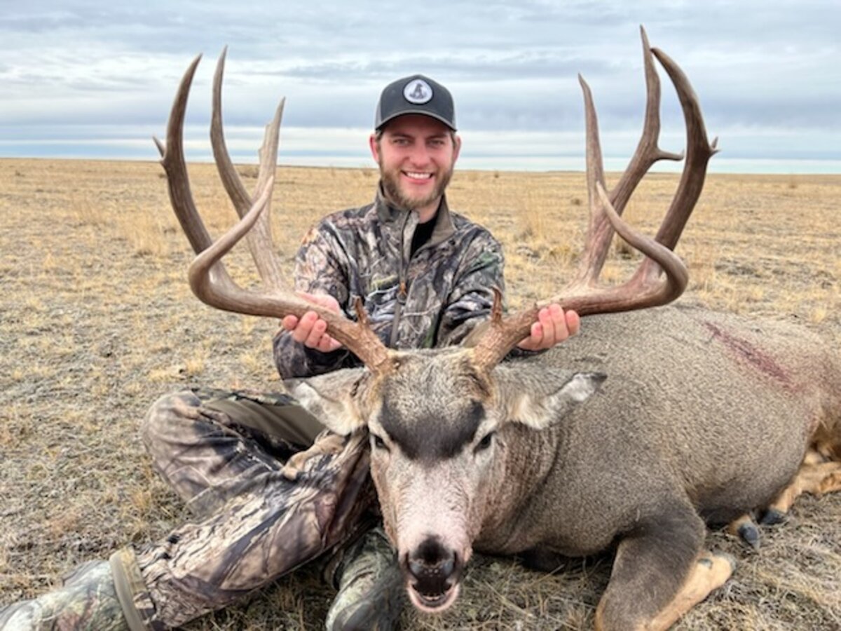 Trophy mule deer eastern Montana